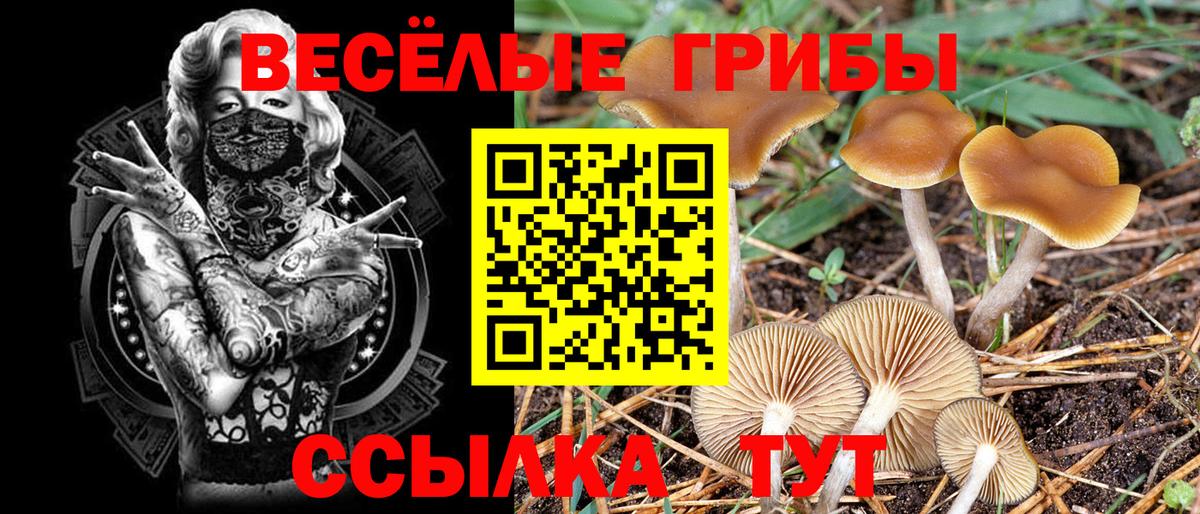 Галлюциногенные грибы Magic Shrooms Каменск-Уральский