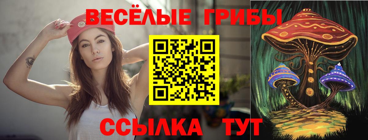 Каменск-Уральский  Псилоцибиновые грибы MAGIC MUSHROOMS  Вход с VPN 